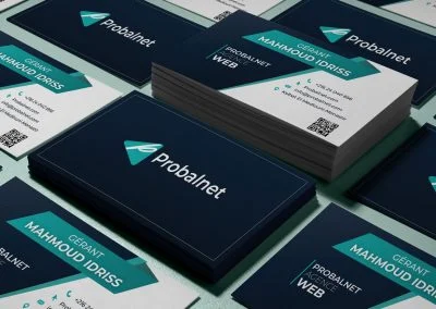 Carte de visite Probalnet